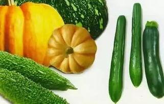 莘县在哪吃瓜,莘县特色瓜果美食之旅 第1张 莘县在哪吃瓜,莘县特色瓜果美食之旅 第1张